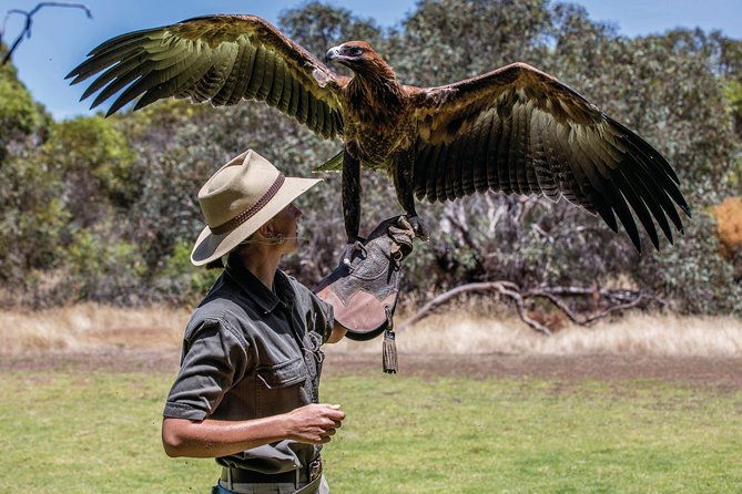 One Day Kangaroo Island Sip & See tour with return ferry transfers from Adelaide - Who Will Love This Tour?