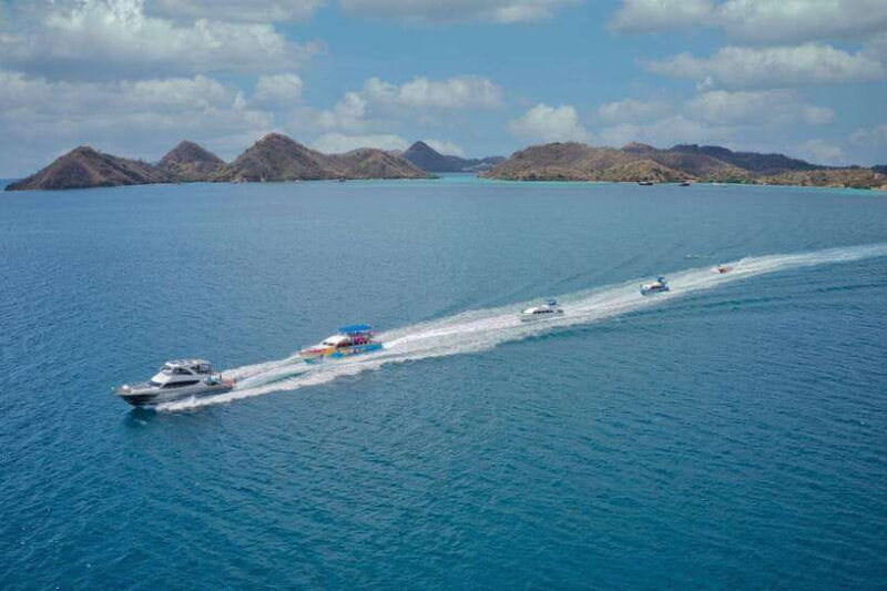 one-day-komodo-tour-by-speedboat