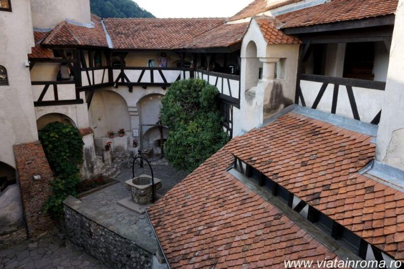 one-day-trip-bear-sanctuary-dracula-castle