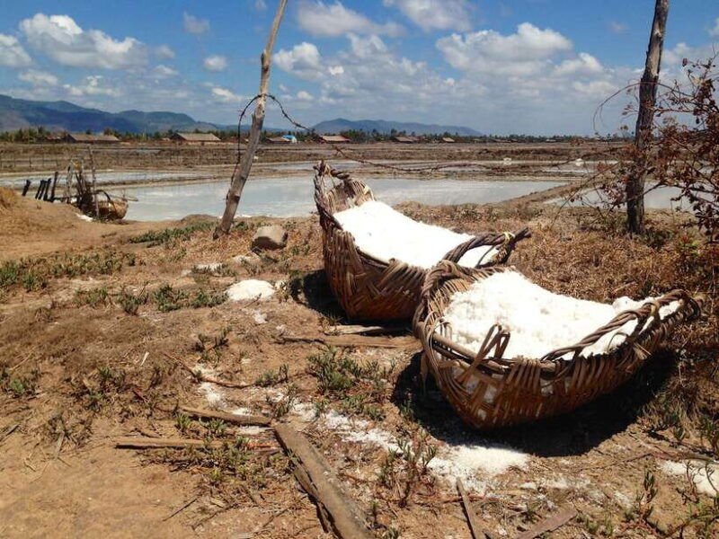 one-day-trip-to-pepper-farm-chhngok-temple-and-salt-field