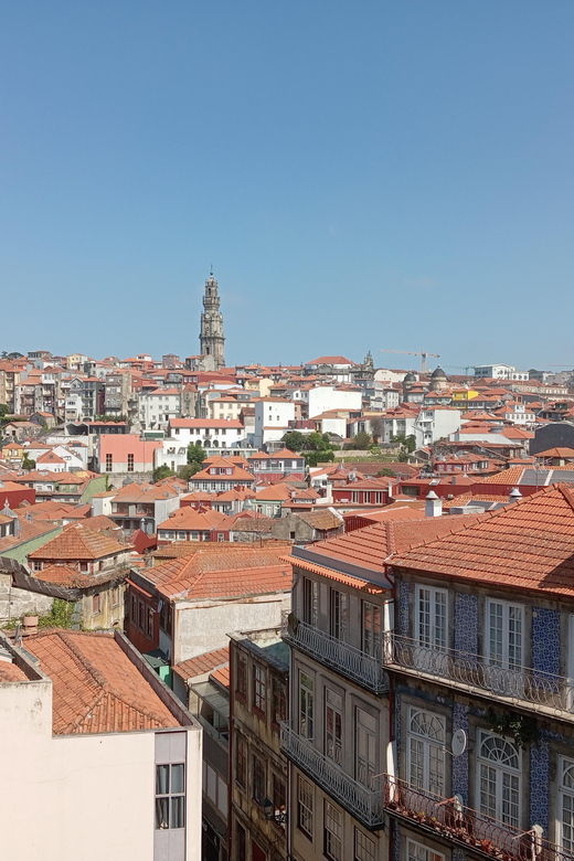 oporto-old-town-tour-with-official-tour-guide