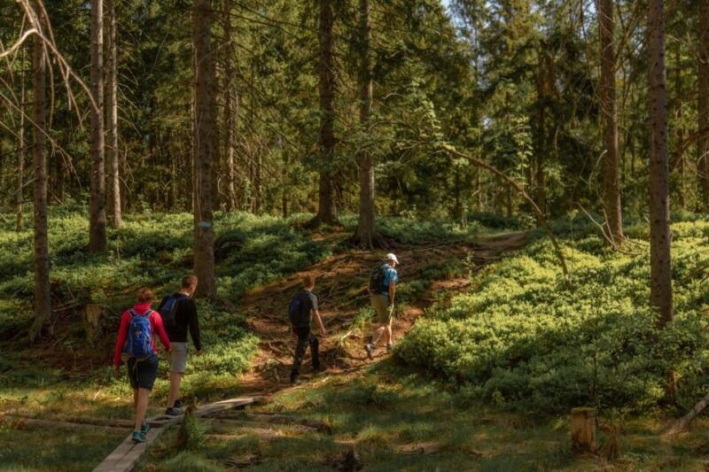 oslo-skjennungstoppen-wildlife-forest-hiking-tour
