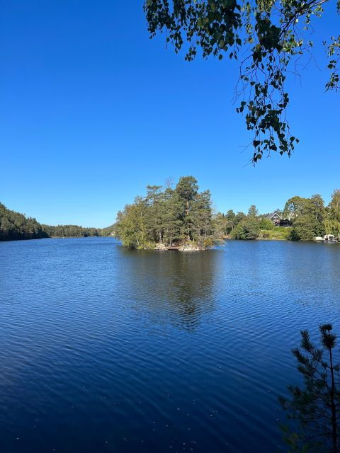 oslo-yoga-hiking-with-a-dog