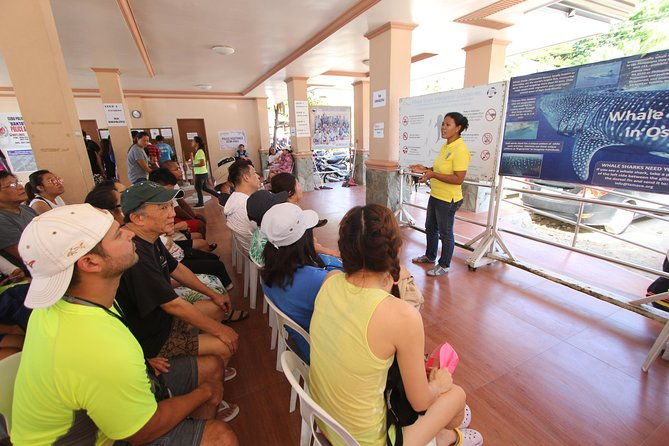 Oslob Whale Shark and Kawasan Falls Day Tour - Who Will Love This Tour