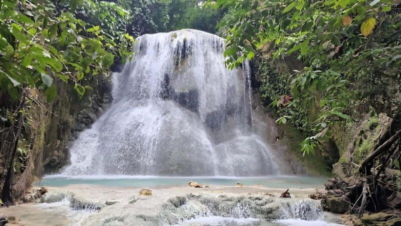 oslob-whale-shark-swim-aguinid-falls-canyoneering-tour