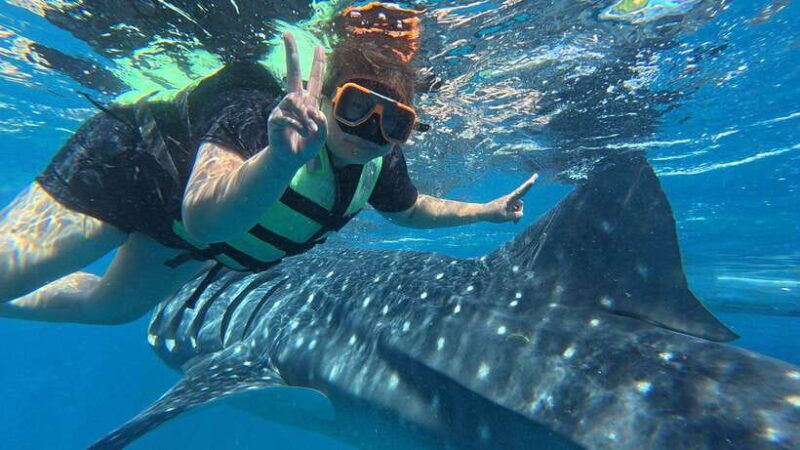 oslob-whaleshark-watching-kawasan-falls-canyoneering