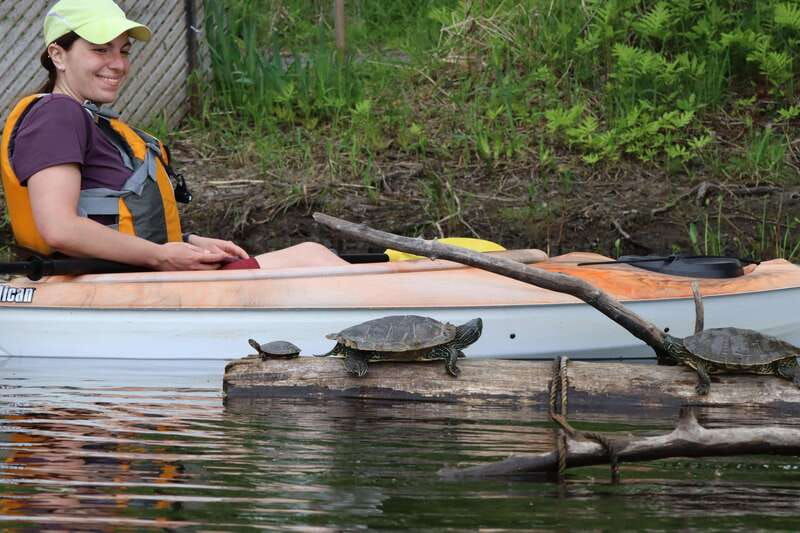 ottawa-ecological-reserve-kayak-tour-with-turtle-sightings