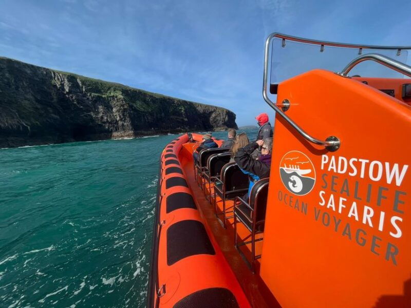 padstow-guided-rib-sealife-safari