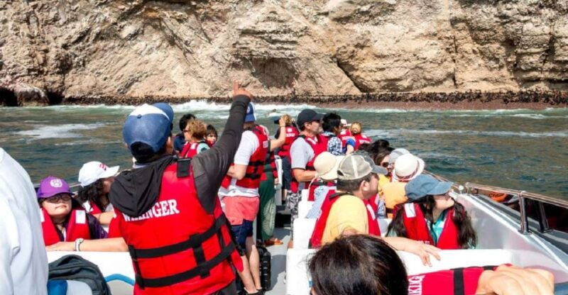 paracas-ballestas-islands-boat-ride-tour