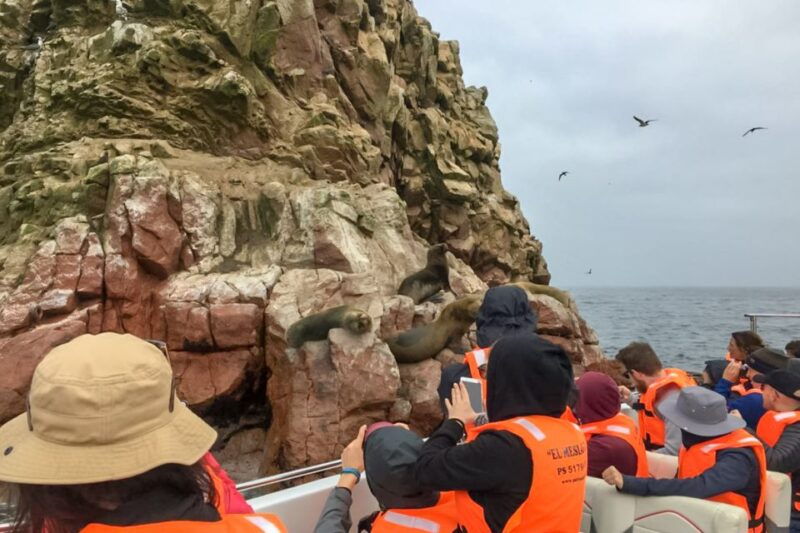 paracas-ballestas-islands-morning-boat-tour