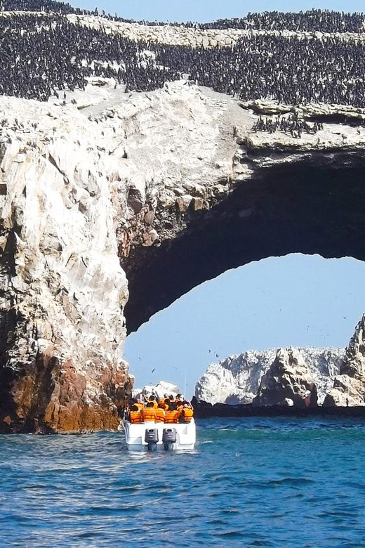 paracas-ballestas-islands-paracas-reserve-full-day