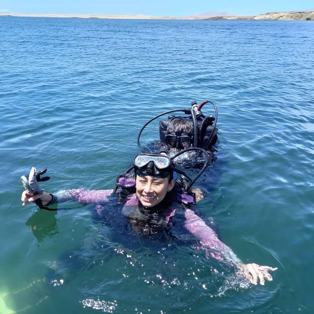 paracas-diving-dive-into-the-sea