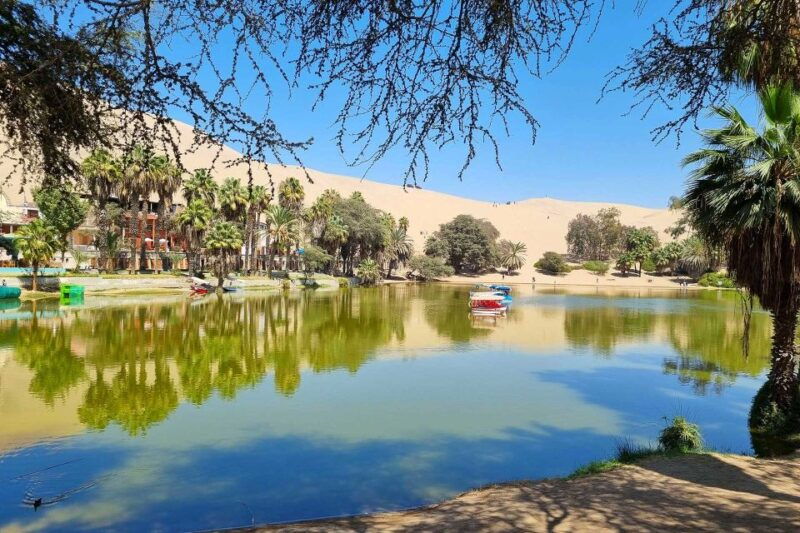 paracas-islands-huacachina-oasis-in-ica-adventurewildlife