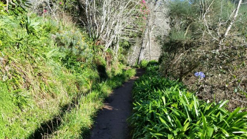paradise-valley-half-day-morning-walk