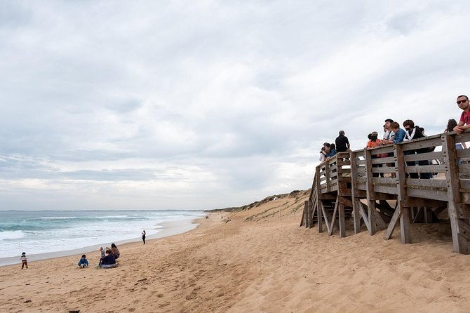 Penguin Parade, & Wildlife Encounters Eco Tour from Melbourne - Pros and Cons: What You Should Know
