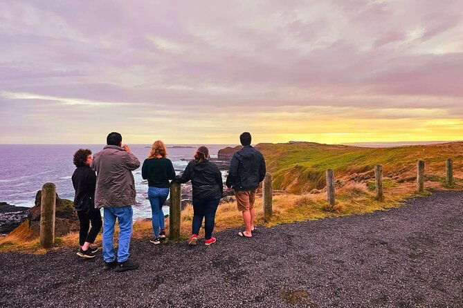 Phillip Island Departure Penguin Parade Tour with Winery Feast - Final Thoughts