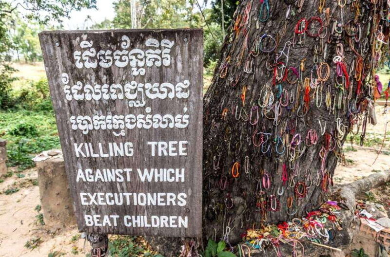 phnom-penh-2-day-tour-with-royal-palace-and-killing-fields