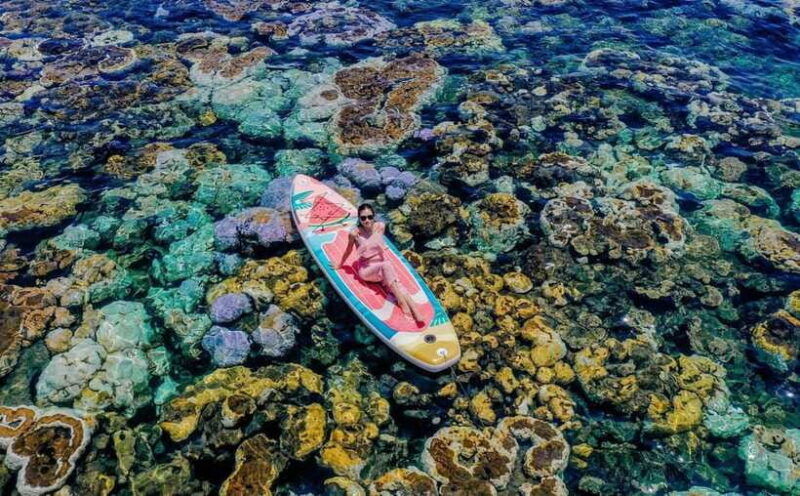 phu-quy-island-tour-kayaking-seafood-catching-with-bbq