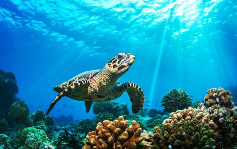 phuket-2-days-itinerary-similan-james-bond-islands-tour