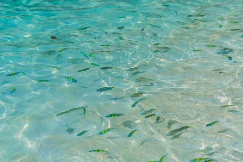 phuket-3-khai-islands-snorkeling-and-relaxation-tour