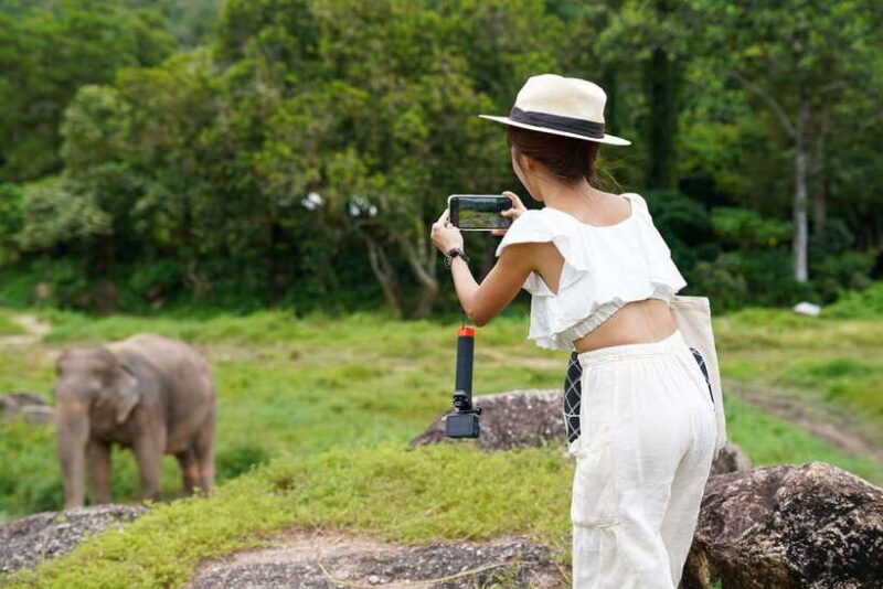 phuket-bukit-elephant-park-sanctuary-walk-and-feed-tour