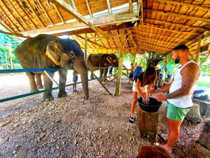 phuket-khao-sok-private-elephant-day-care-and-bamboo-raft