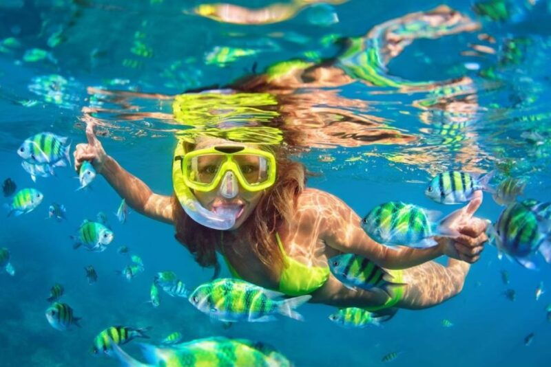 phuket-phi-phi-bamboo-islands-snorkeling-by-speedboat