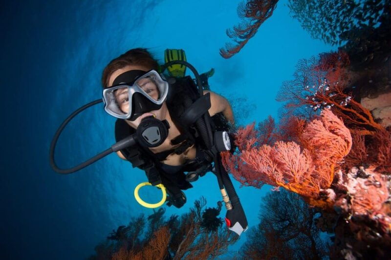 phuket-phi-phi-islands-shark-point-certified-scuba-dives