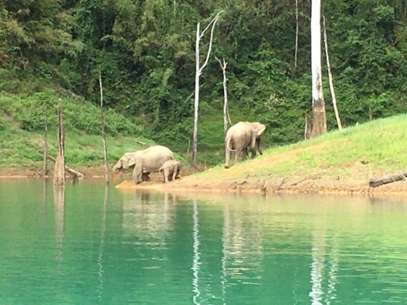 phuket-private-day-trip-to-cheow-larn-lake-all-inclusive