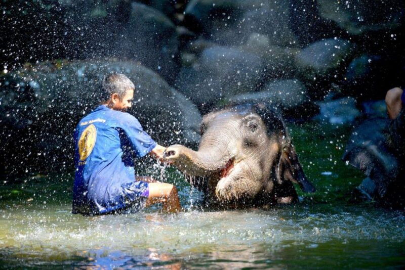 phuket-white-water-rafting-zipline-and-elephant-sanctuary