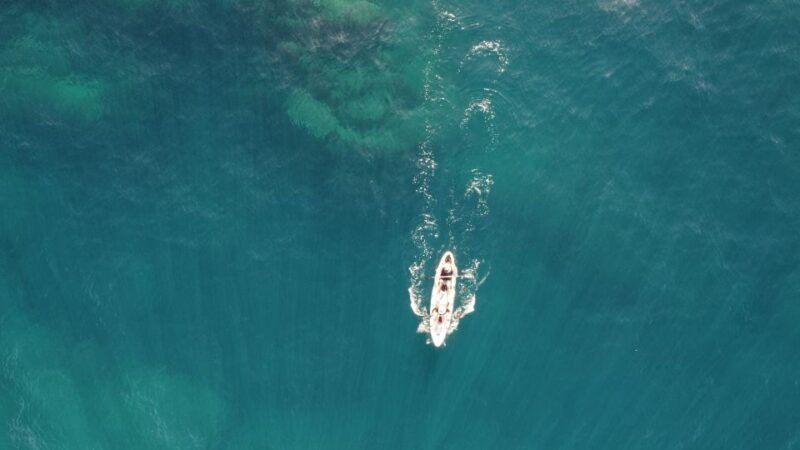 pico-island-azores-guided-kayak-and-snorkel-tour
