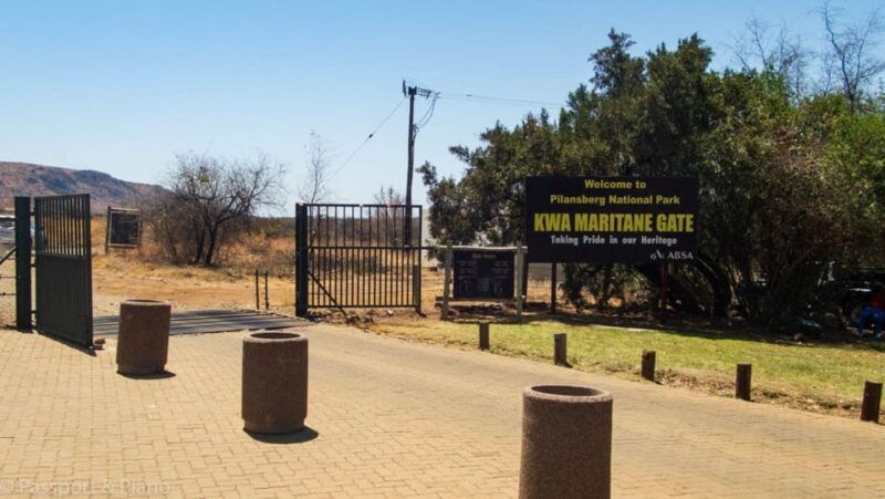 pilanesberg-game-reserve-safari-with-pickup-in-johannesburg