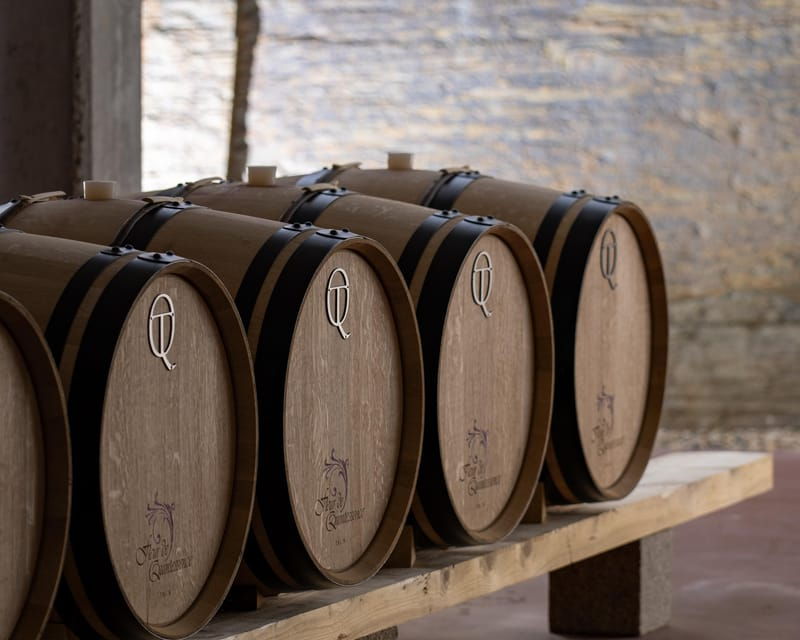 pinhao-quinta-da-formigosa-vineyard-tour-and-wine-tasting