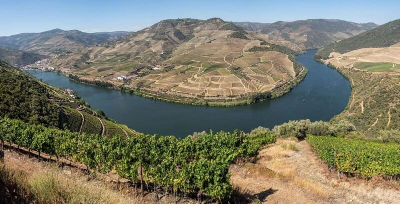 pinhao-rabelo-boat-cruise-with-wine-tasting-at-a-winery