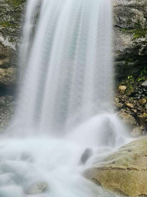 pokhara-annapurna-base-camp-trek-wildlife-safari-tour
