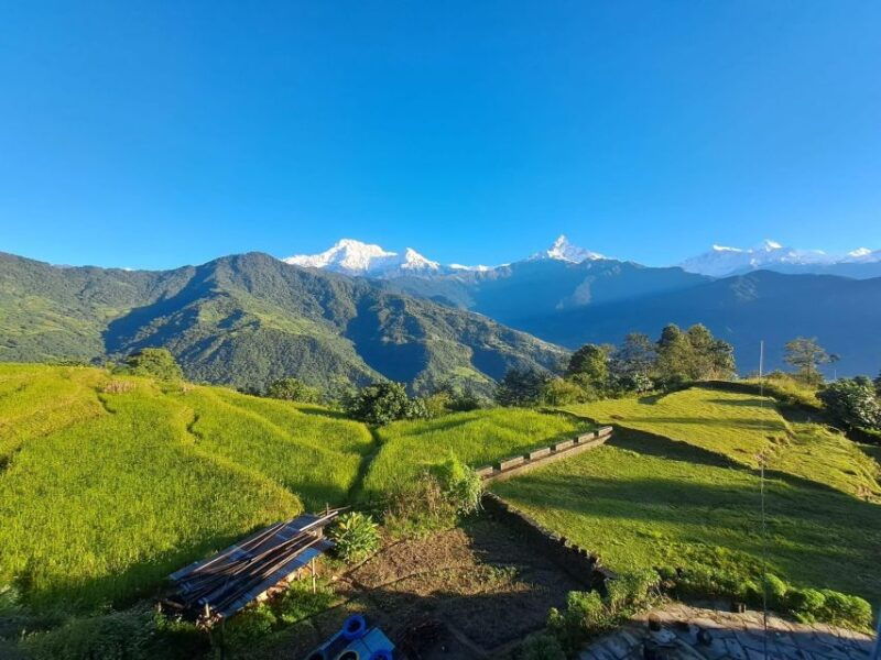 pokhara-australian-camp-dhampus-village-group-join-hike
