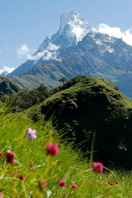 pokhara-mardi-himal-base-camp-helicopter-tour