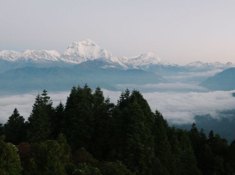 pokhara4-day-ghorepani-poon-hill-guided-trek-via-ghandruk