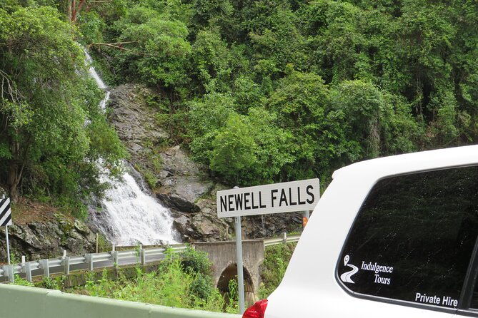 Port Macquarie Day Tour to Water Falls and Lookouts - Review Insights & Practical Tips
