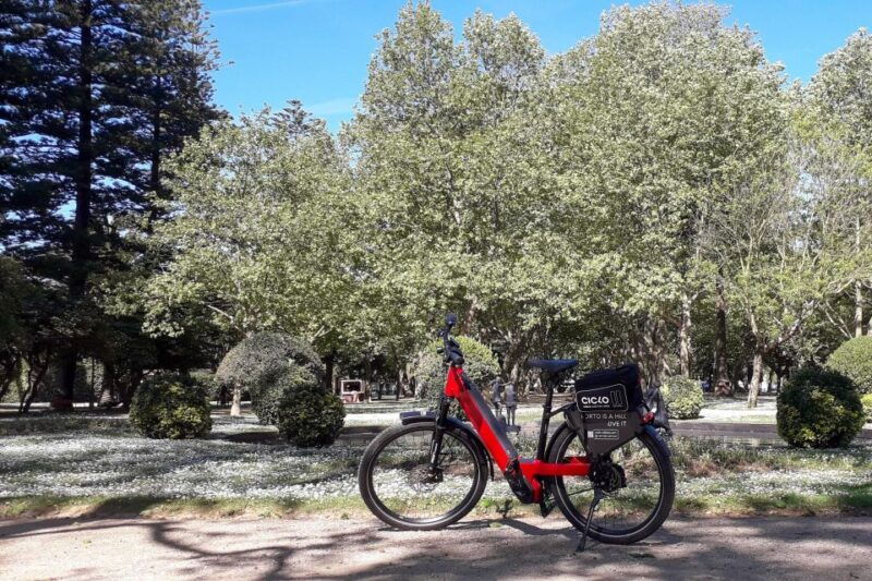 porto-riverbank-tour-on-an-e-bike-atlantic-coast-gardens