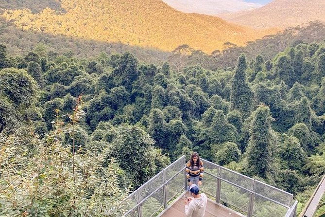 Private All Blue Mountains Day Tour - Real Guest Insights and Tips
