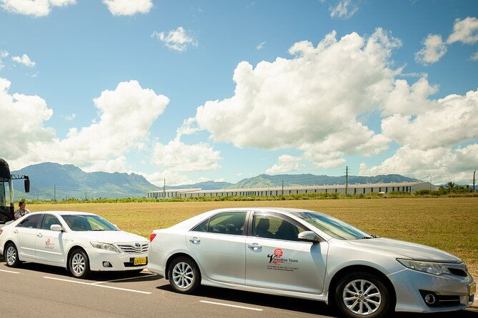 Private Arrival SUV Transfer: Nadi Airport to Nadi area Hotels - Final Word