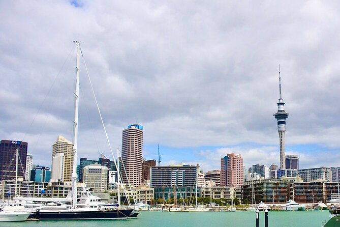 Private Auckland best Spots + Piha beach and rainforest day Tour - Real Experiences and Insights from Reviewers