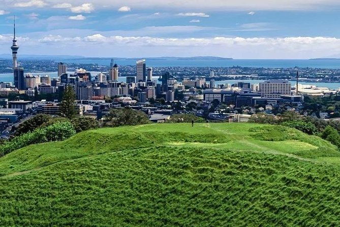 Private Auckland City Tour For Small Group in a luxury vehicle. - FAQ