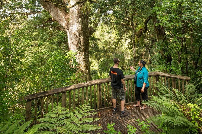 Private Auckland West Coast Day Tour - Who Should Book This Tour?