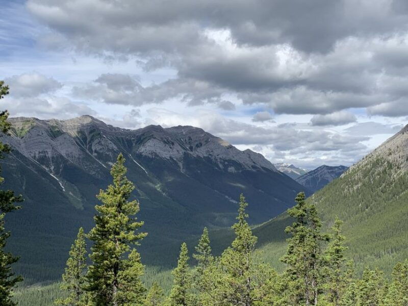 private-bear-country-hiking-tour-4h-adventure