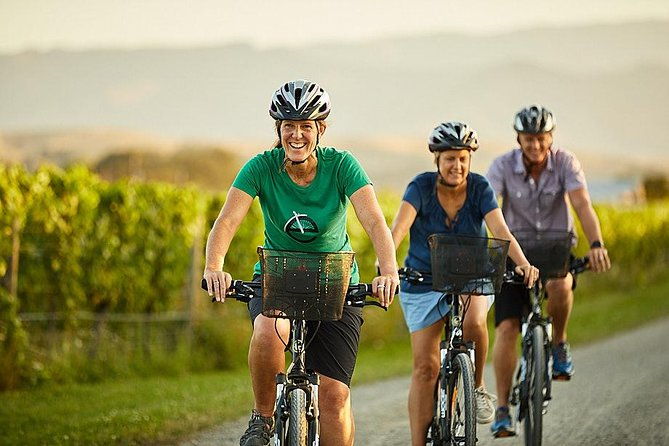 Private Biking Wine Tour (full day) in the Marlborough Region - Final Thoughts
