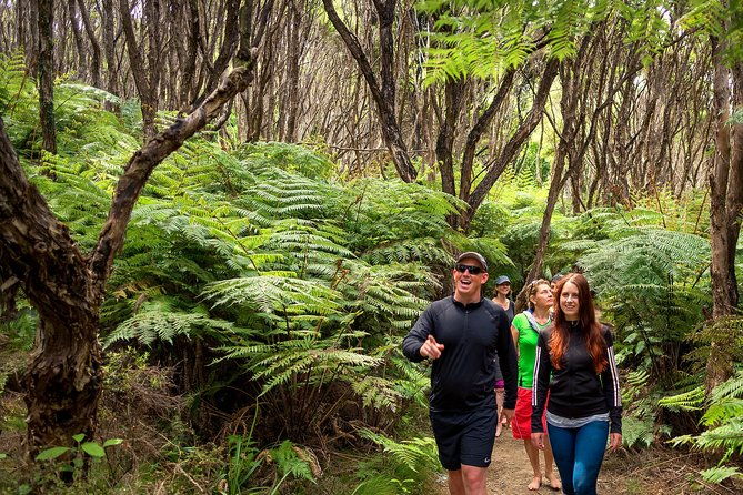 Private boat charter in Abel Tasman National Park - Value and Who It’s Best For