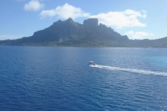 Private Boat for 1 afternoon Dive (beginners or certified divers) - The Sum Up