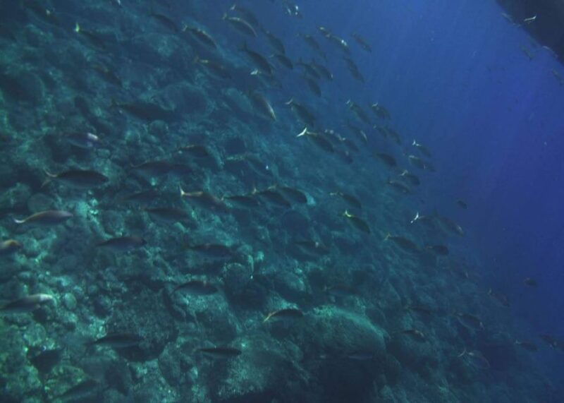 private-boat-tour-isola-bella-taormina-giardini-naxos